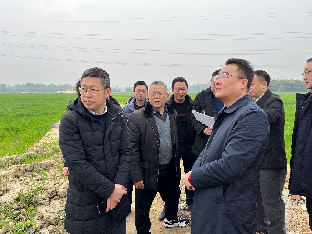 省社、省供投集團領導調研青白江區(qū)四川現代供銷種業(yè)園區(qū)