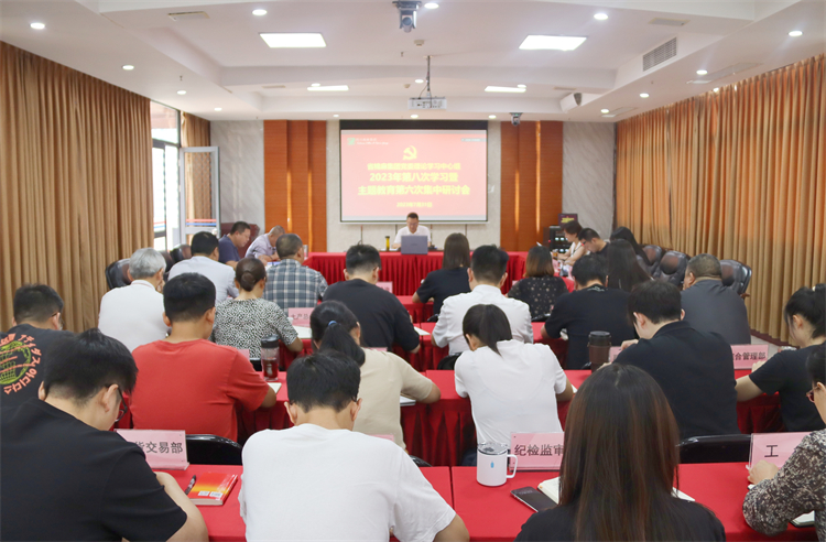 集團公司召開黨委理論學(xué)習(xí)中心組2023年第八次學(xué)習(xí)暨主題教育第六次集中研討會