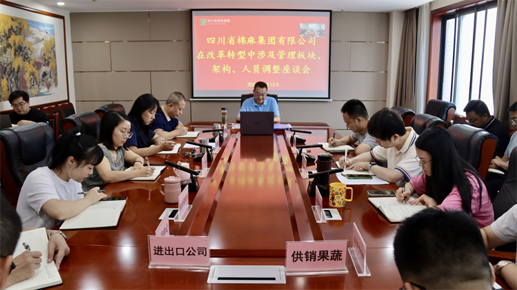集團(tuán)公司召開在改革轉(zhuǎn)型中涉及管理板塊、架構(gòu)、人員調(diào)整座談會