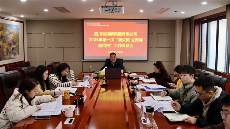 集團公司召開2025年第一次“清欠款、去庫存、調(diào)結(jié)構(gòu)”工作專題會