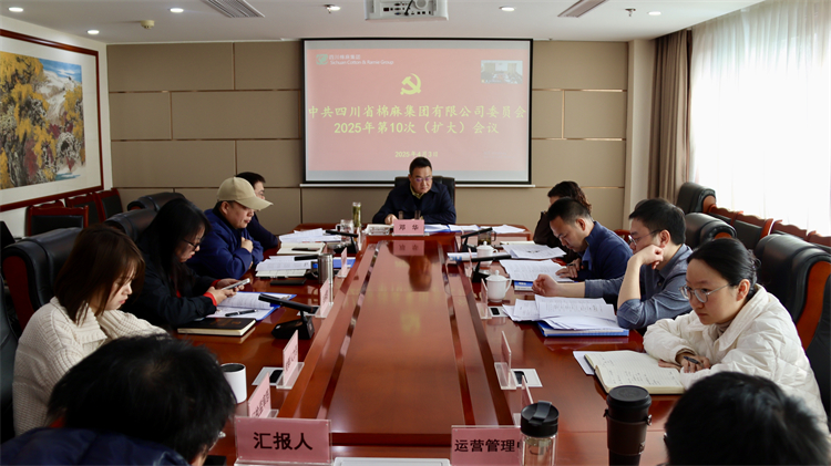 集團(tuán)公司召開(kāi)2025年第10次黨委（擴(kuò)大）會(huì)議