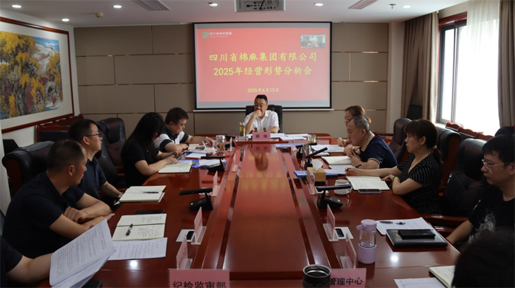 集團(tuán)公司召開2025年經(jīng)營形勢分析會
