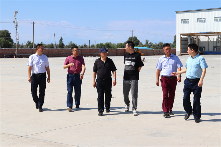 1659492894415572.jpg mtxx03.jpg