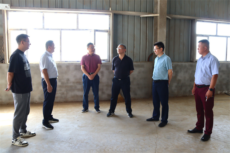 1659492946991531.jpg mtxx06.jpg