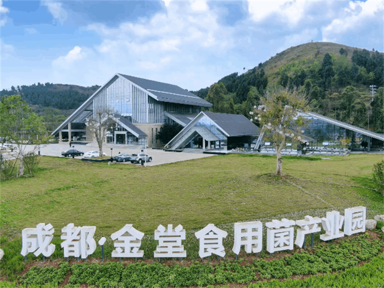 1695195839429679.jpg 4c8aadcb2688c2d2da34eafc10ec4dc.jpg