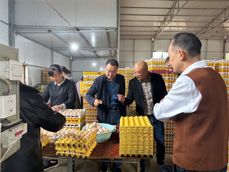 1698370126725050.jpg 4.jpg