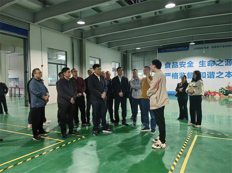 1698910482804058.jpg mtxx01.jpg