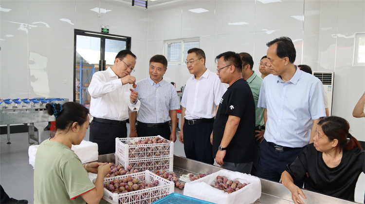 1725240835807492.jpg IMG_6262.jpg